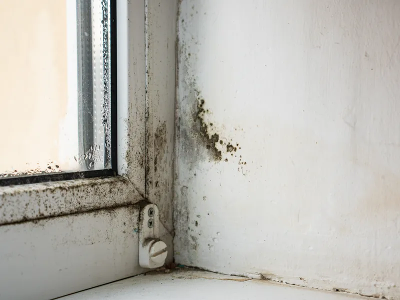 Fensterecke mit feuchtem Rahmen und dunklen Schimmelflecken an der weißen Wand